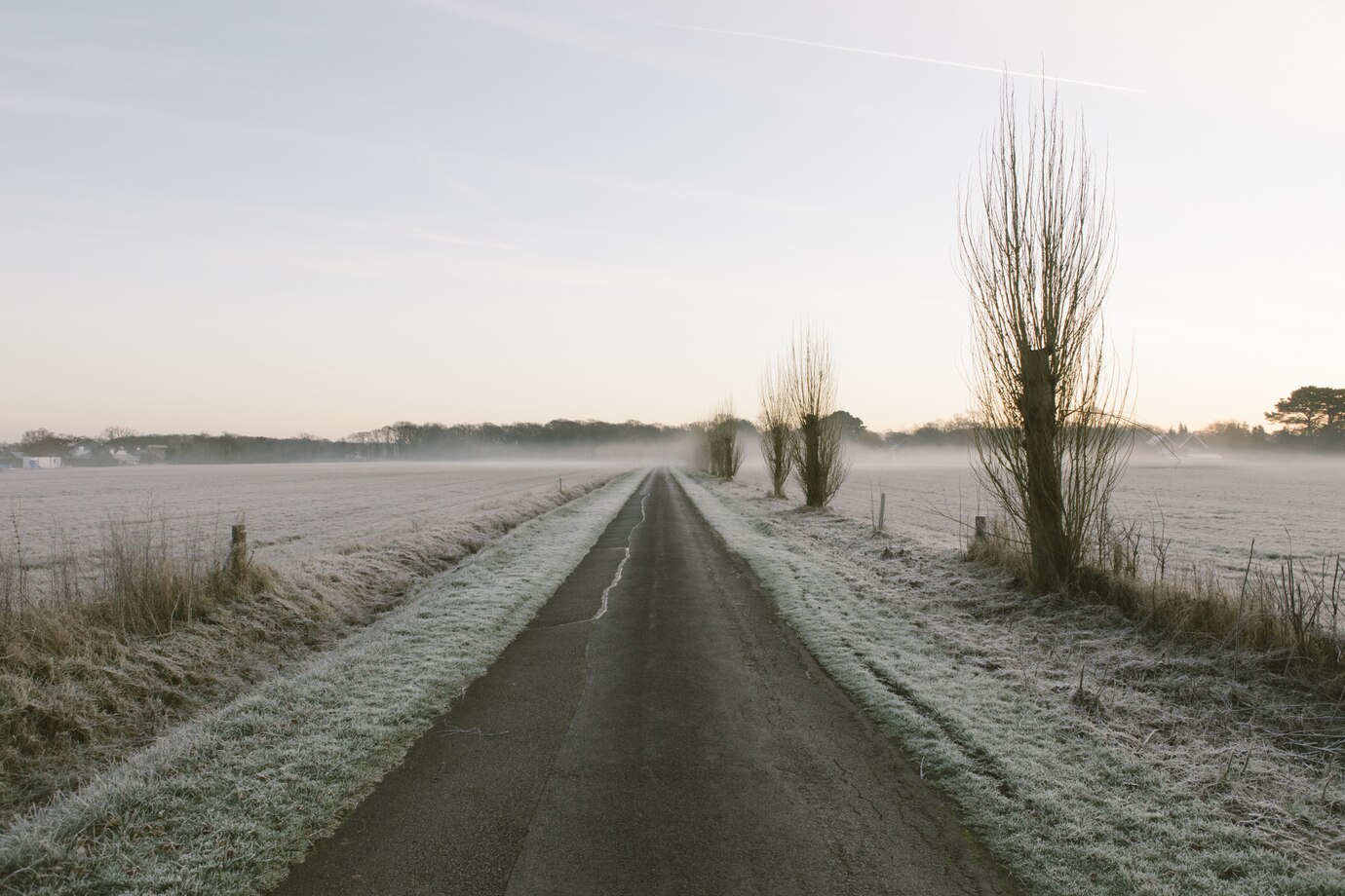 Lonely Lane